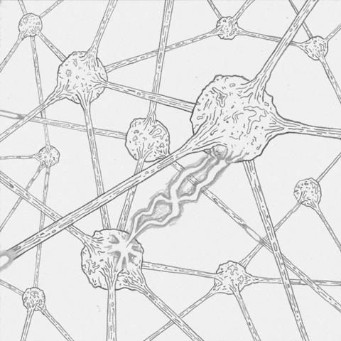 Neural pathways rerouting around a strengthened synaptic connection